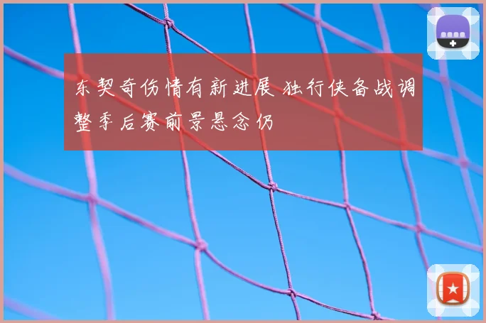 东契奇伤情有新进展 独行侠备战调整季后赛前景悬念仍