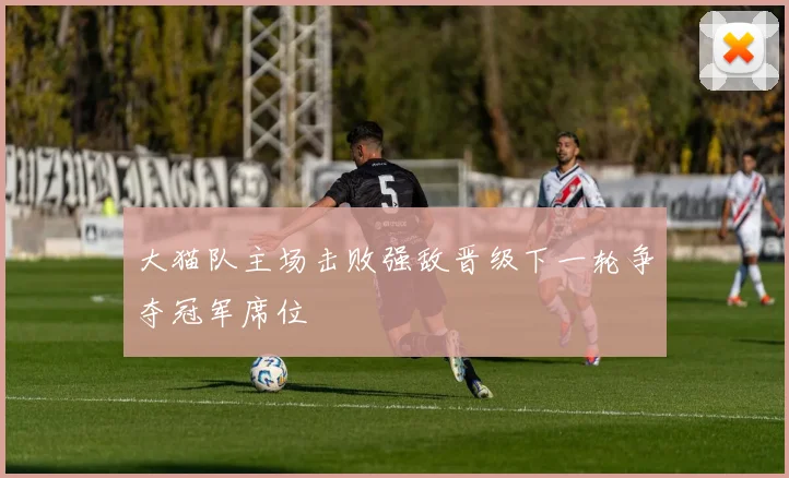 大猫队主场击败强敌晋级下一轮争夺冠军席位