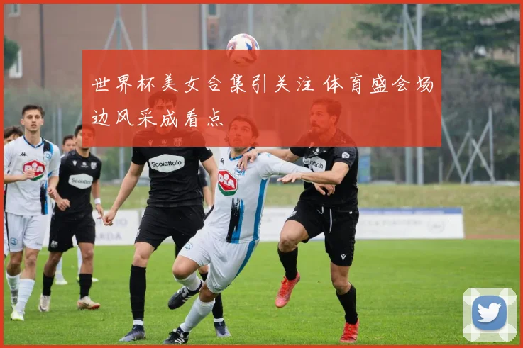 世界杯美女合集引关注 体育盛会场边风采成看点