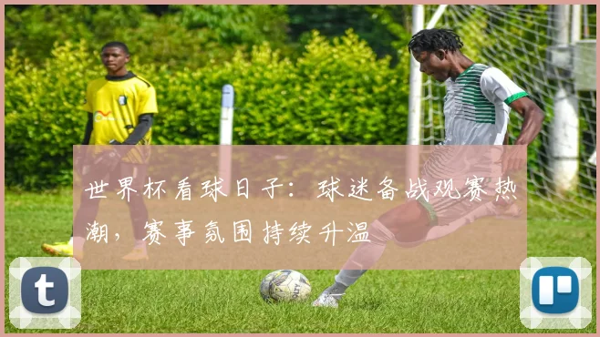 世界杯看球日子：球迷备战观赛热潮，赛事氛围持续升温