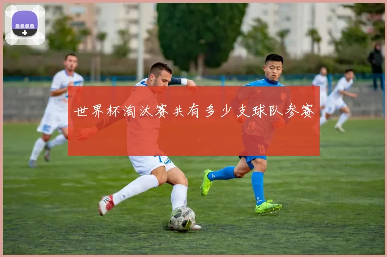 世界杯淘汰赛共有多少支球队参赛