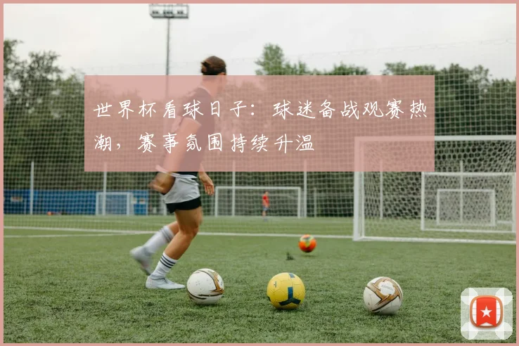 世界杯看球日子：球迷备战观赛热潮，赛事氛围持续升温