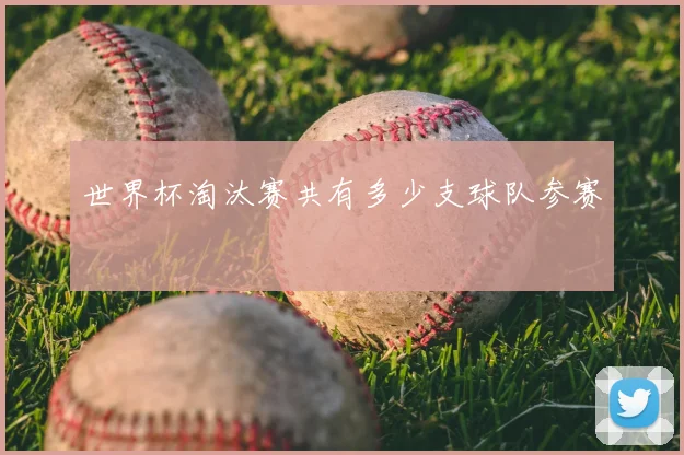 世界杯淘汰赛共有多少支球队参赛