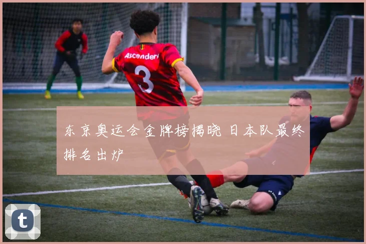 东京奥运会金牌榜揭晓 日本队最终排名出炉
