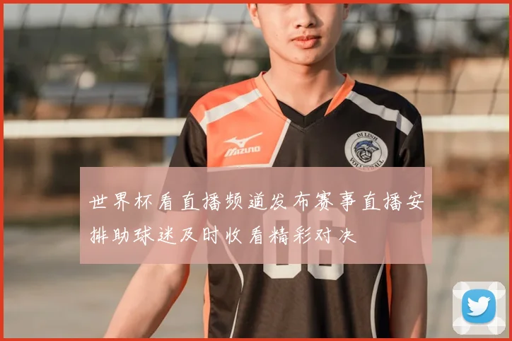 世界杯看直播频道发布赛事直播安排助球迷及时收看精彩对决